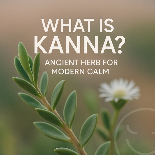 Kanna: Nature's Ancient Ally for Calm, Connection & Mood Support