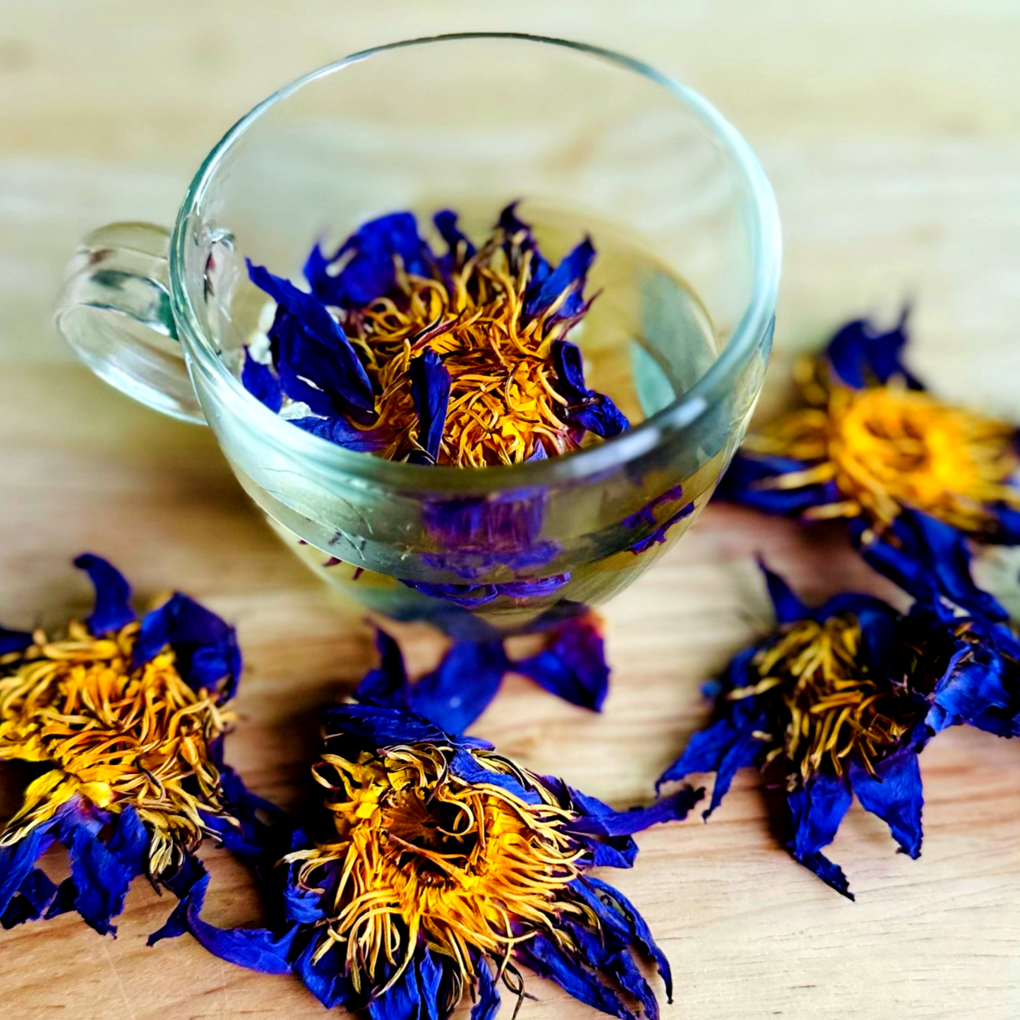 Altruistik™ Organic Blue Lotus Flowers - Natural Calming Herbal Tea
