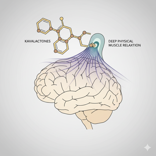 🌿 Kava: The Social Calm – Navigating Anxiety with an Ancient Pacific Plant