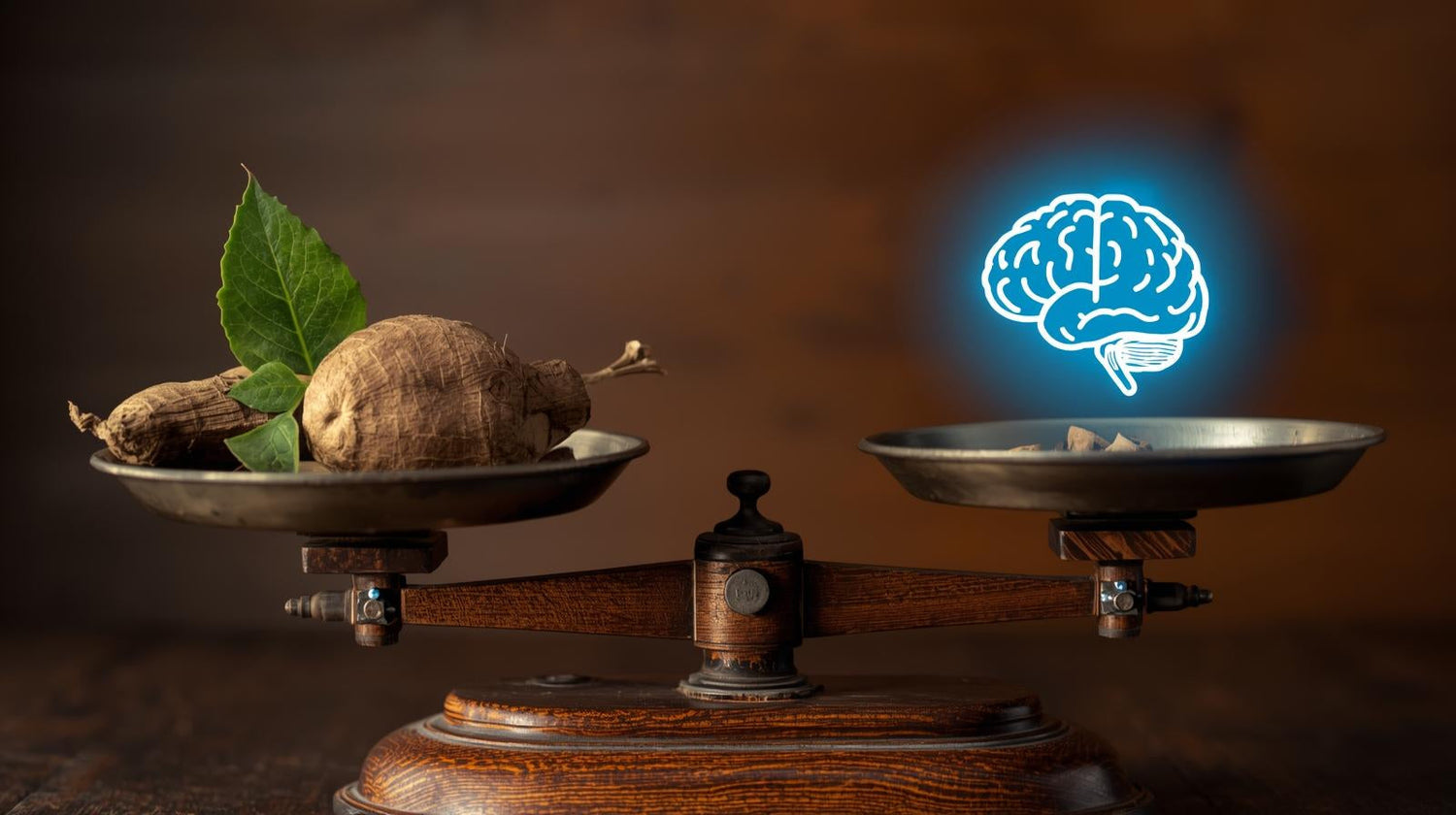 🛡️ Is Kava Safe for Daily Use? Addressing Tolerance and Dependency Concerns