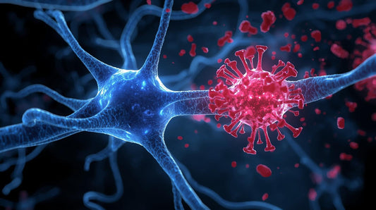 ✨ Anti-Inflammatory Mood Boost: The Hidden Link Between Kanna and Inflammation Support