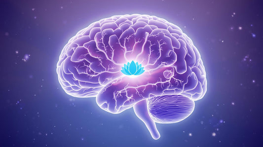 🌸 Blue Lotus vs. Popular Sleep Supplements: Melatonin, CBD, and Valerian Root