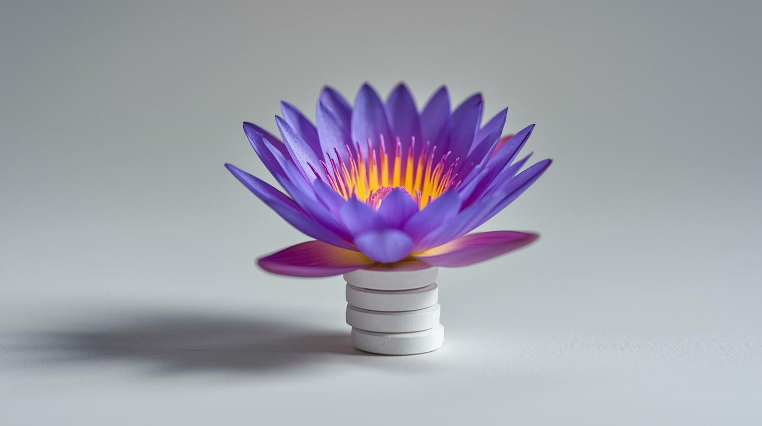 Blue Lotus