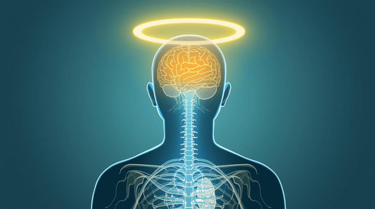 🌿 Kanna vs. Ashwagandha: The Ultimate Adaptogen Showdown for Stress