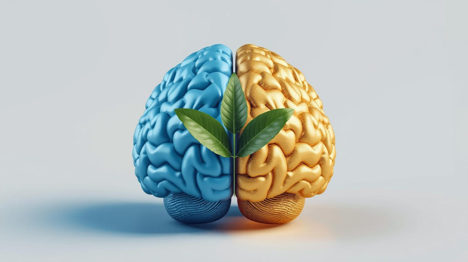 Kava gummies Herb for Social Anxiety: