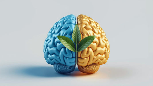 Kava gummies Herb for Social Anxiety: