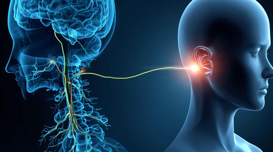 Vagal Tone and Anxiety: How the Safe and Sound Protocol Rewires Your Nervous System for Safety and Calm