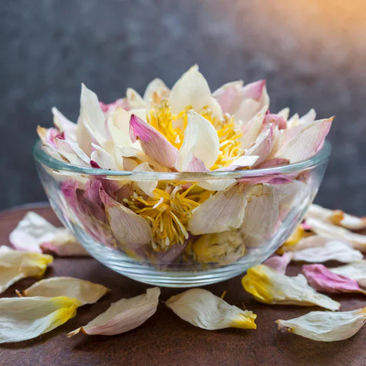 White Lotus Tea flowers