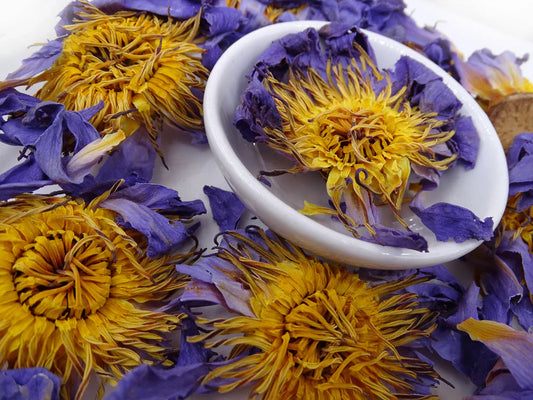 Blue Lotus Herbal Tea flowers