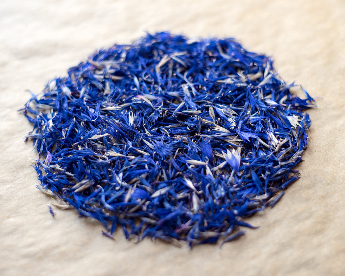 Blue Lotus Flowers