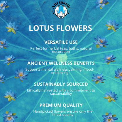 1kg Organic Whole Blue Lotus Flowers | 100% Natural | Bulk Blue Lotus