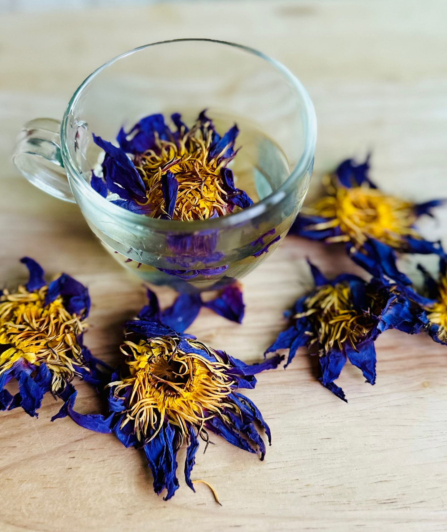 Altruistik™ Organic Blue Lotus Flowers - Natural Calming Herbal Tea